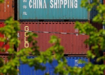 Brasil Aumenta Exportações de Soja para China, Substituindo Estados Unidos