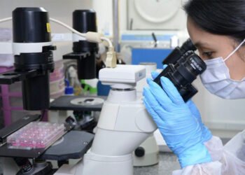 Spai Facilita Acesso e Impulsiona Inovação em São Paulo