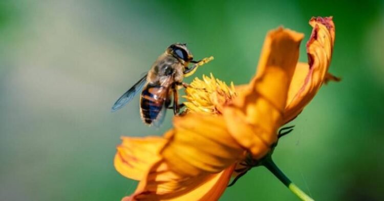 Crédito: www.agenciasp.sp.gov.br