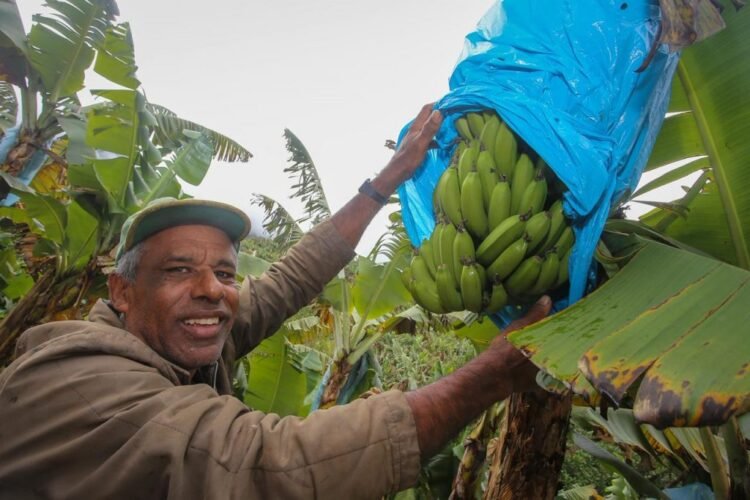 Crédito: www.agenciasp.sp.gov.br