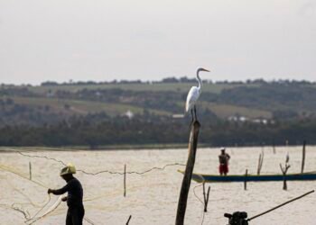 Seguro-Defeso: Gestão muda para Trabalho e Novas Regras Entram em Vigor