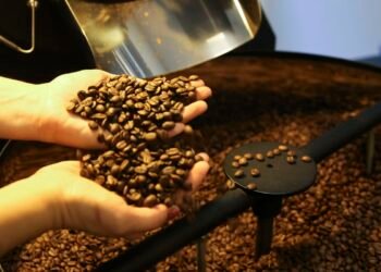 EUA Reduzem Impostos de Importação Sobre Alimentos e Produtos Agrícolas