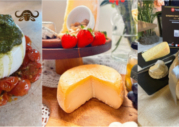 Queijos Artesanais: Um Tour Gastronômico a Poucas Horas de São Paulo