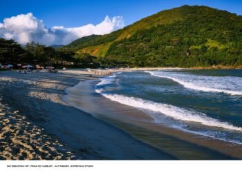 São Paulo Espera Recorde de 16 Milhões de Turistas Neste Verão