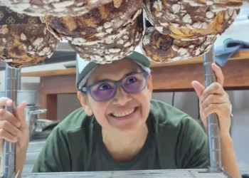 Padaria no Amapá eleva faturamento em 40% com ajuda de programa do Sebrae